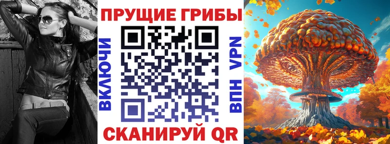 Псилоцибиновые грибы Psilocybine cubensis  Купить закладки  Малаховка 
